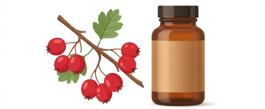 Hawthorn berry benefits for heart health and circulation featuring fresh red berries on a branch and a supplement bottle on a clean background