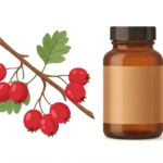 Hawthorn berry benefits for heart health and circulation featuring fresh red berries on a branch and a supplement bottle on a clean background